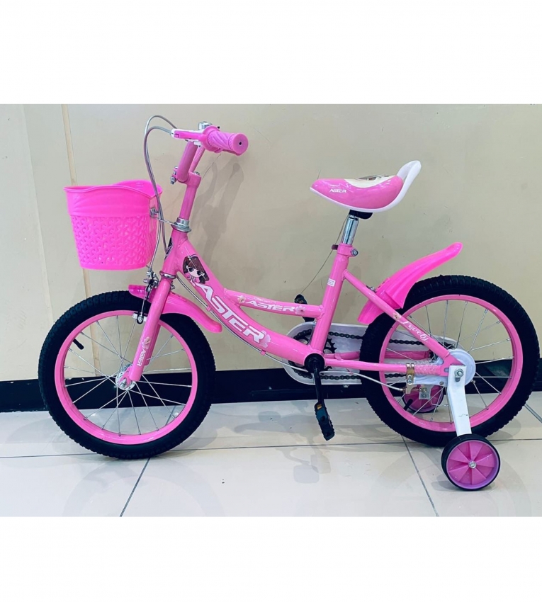 KIDS BIKE ASTER BRAND