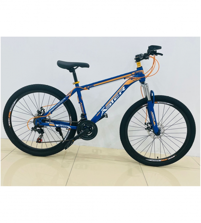 MOUNTAIN BIKE ASTER 24 INCH WHEEL SIZE